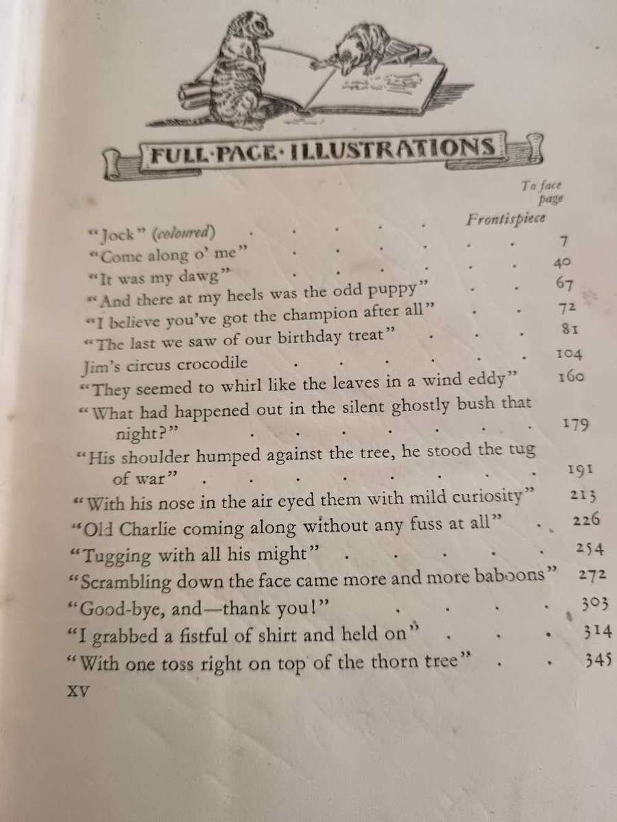 Jock of The Bushveld Book