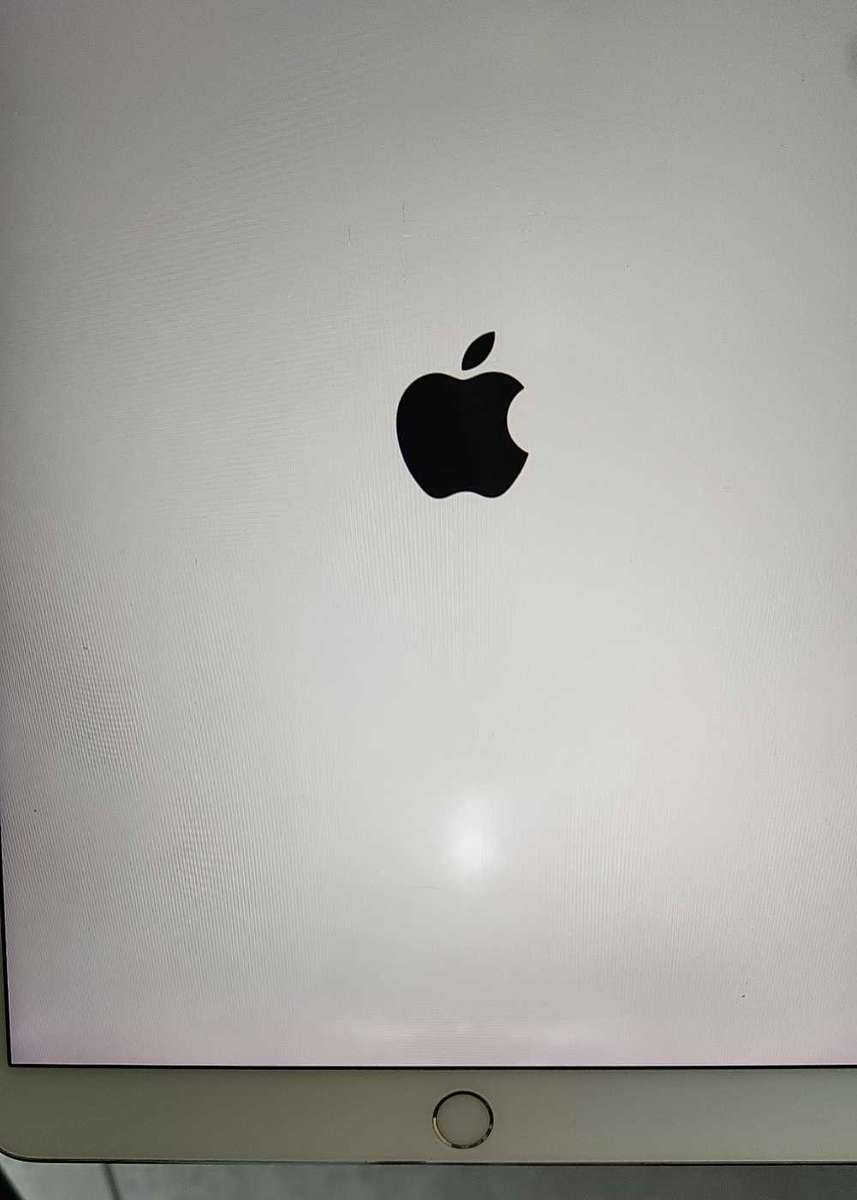 Apple iPad Pro 10.5" 64GB Wi-Fi Silver( pre owned )