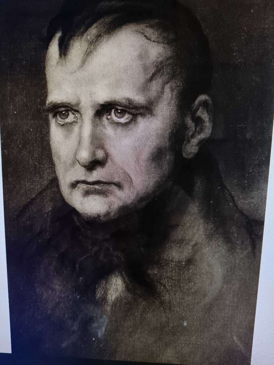 Framed Napolean Lithograph C 1900