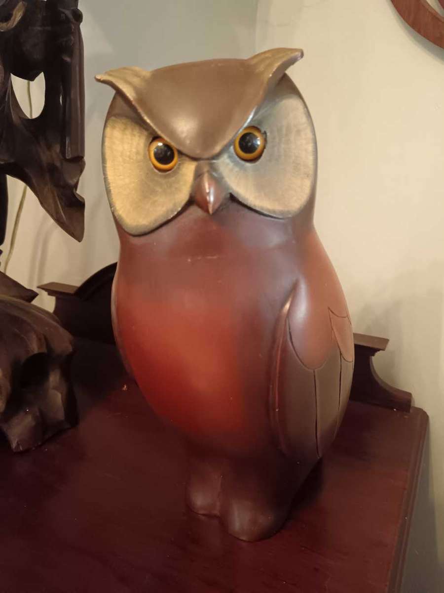 Feathers of Knysna Owl