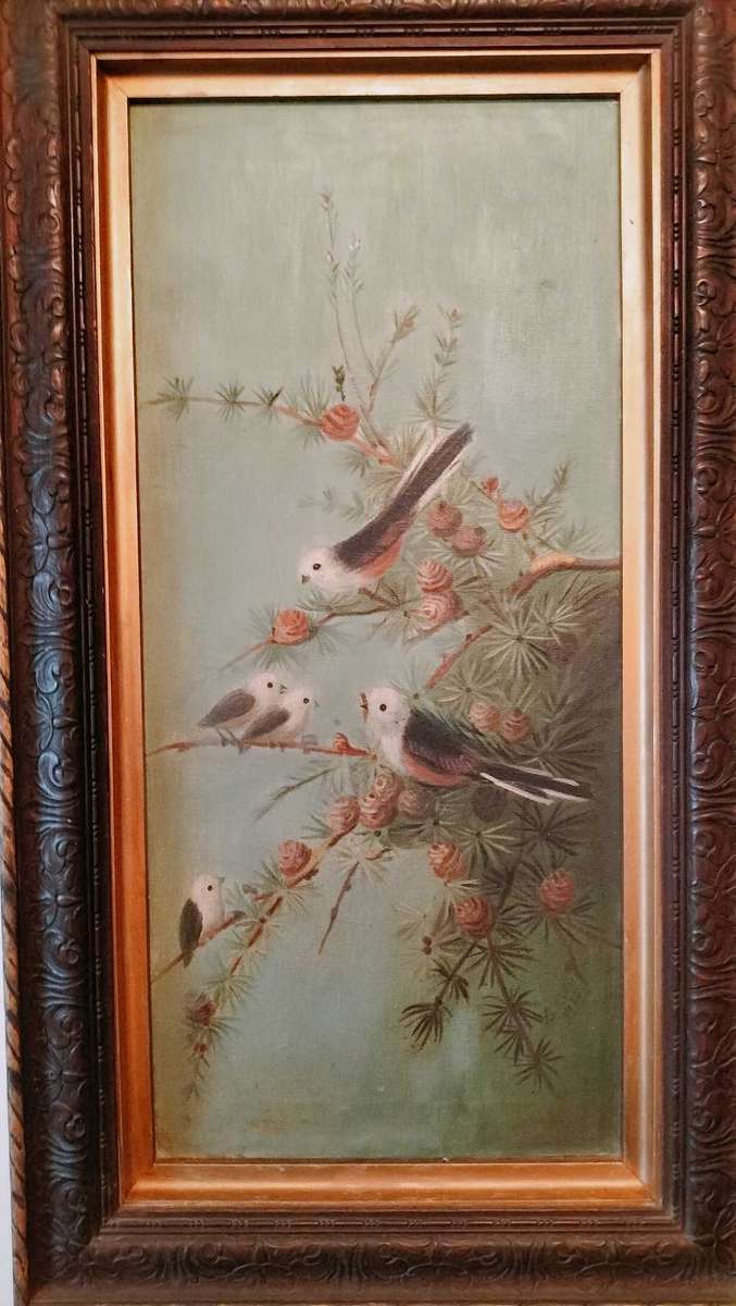 Antique Painting of Birds in a Fir Tree Artist signed dated 1915
