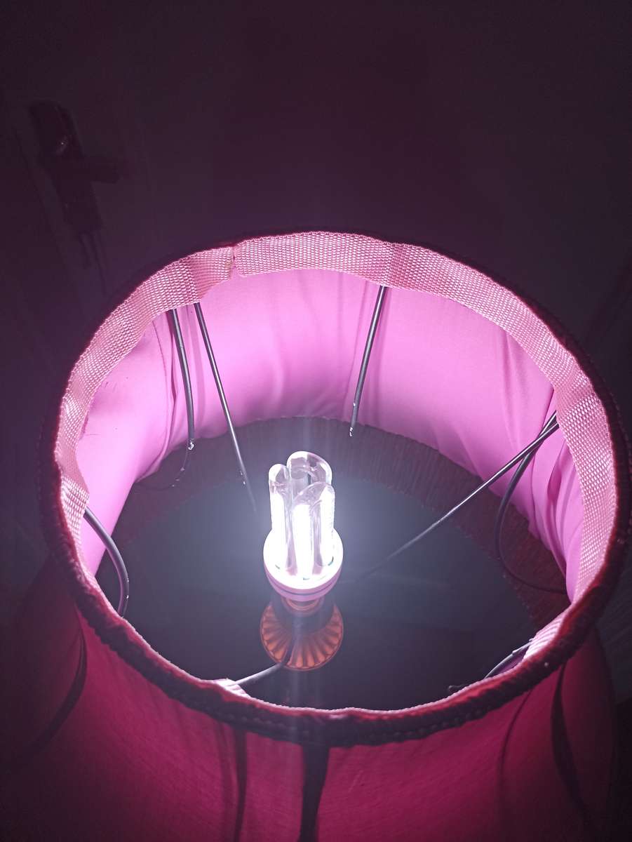 Pink tall lampshade brass stand