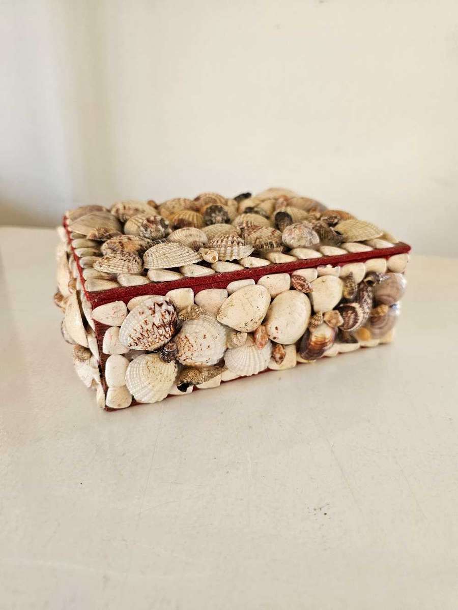 Sea Shell Multi Purpose Jewellery trinket or anything you choose box