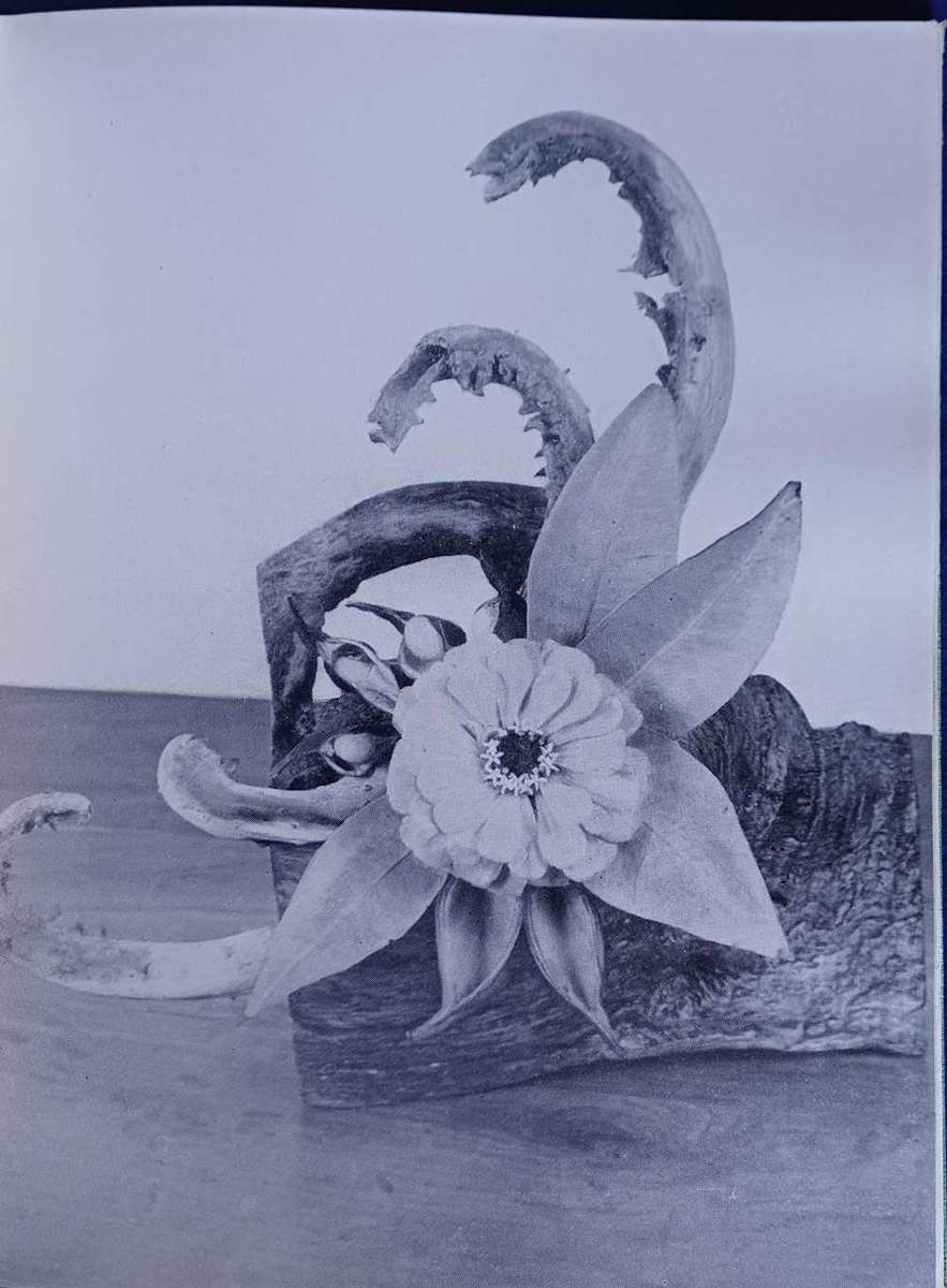 Die kuns van blommerangskikking deur Mattie M du Toit 1954