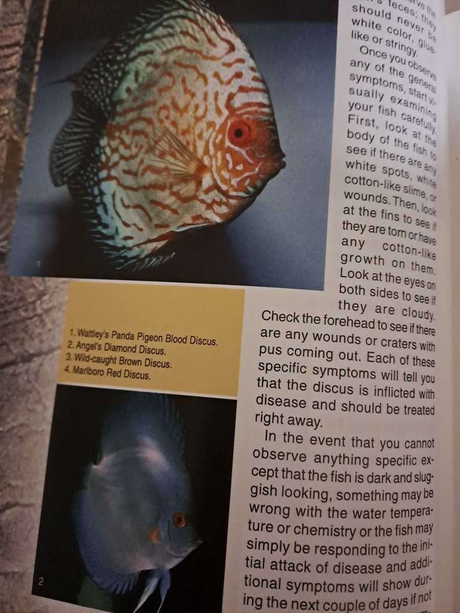 BACK TO NATURE GUIDE TO DISCUS