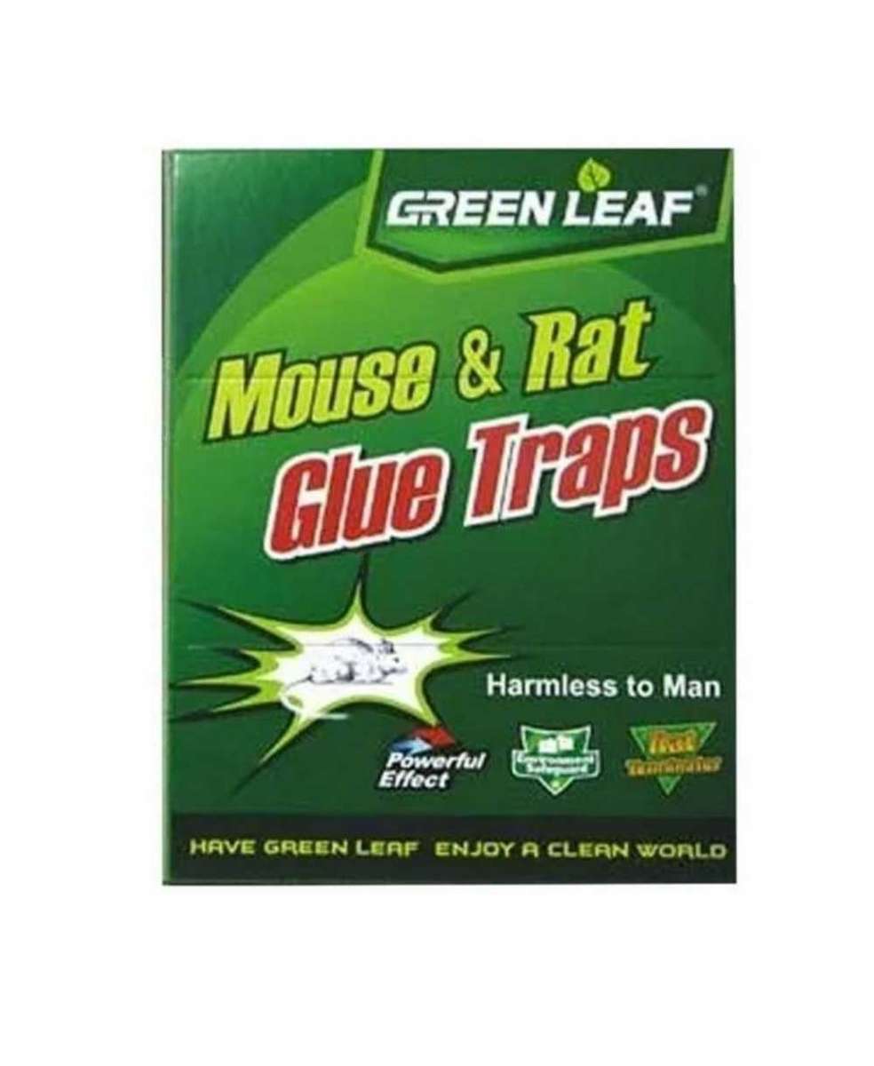 Mouse and rat glue traps 5 pack