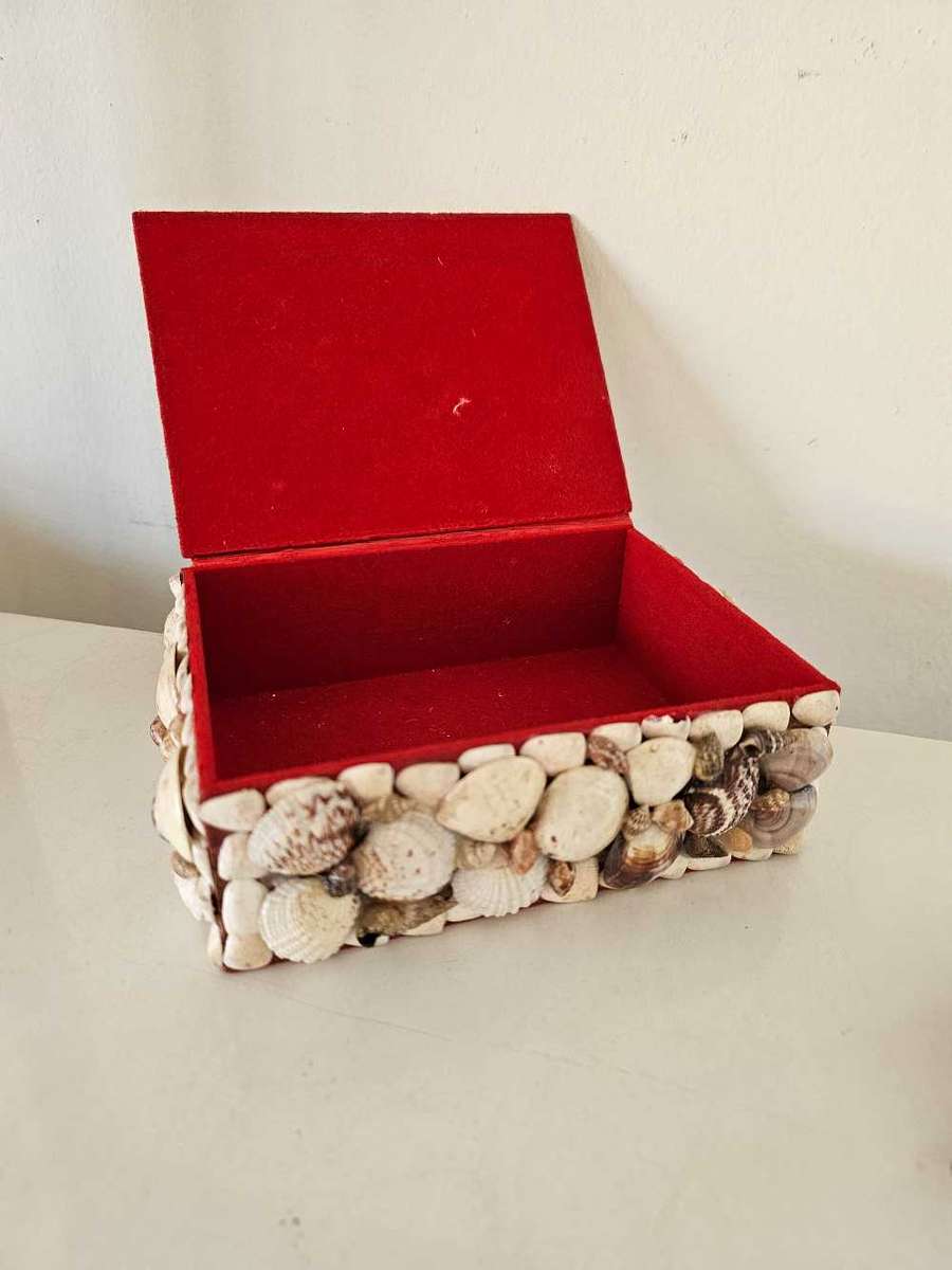 Sea Shell Multi Purpose Jewellery trinket or anything you choose box