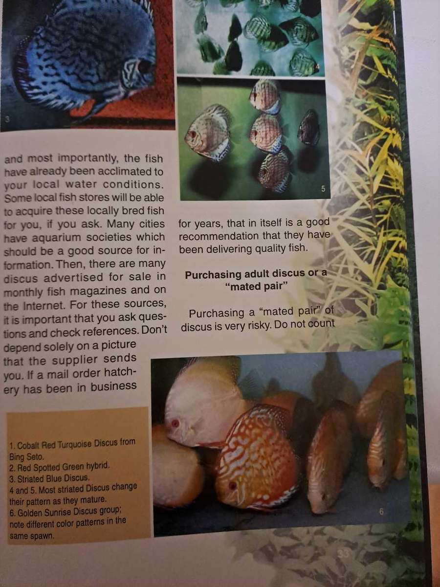 BACK TO NATURE GUIDE TO DISCUS