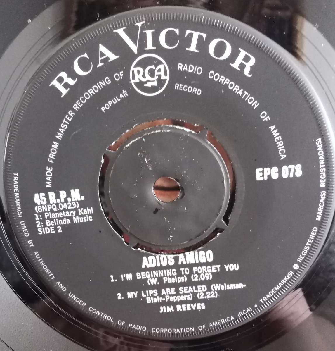 THE ROYAL WEDDING BBC RECORDING FROM ST. PAUL`S CATHEDRAL 28THJULY 1981.