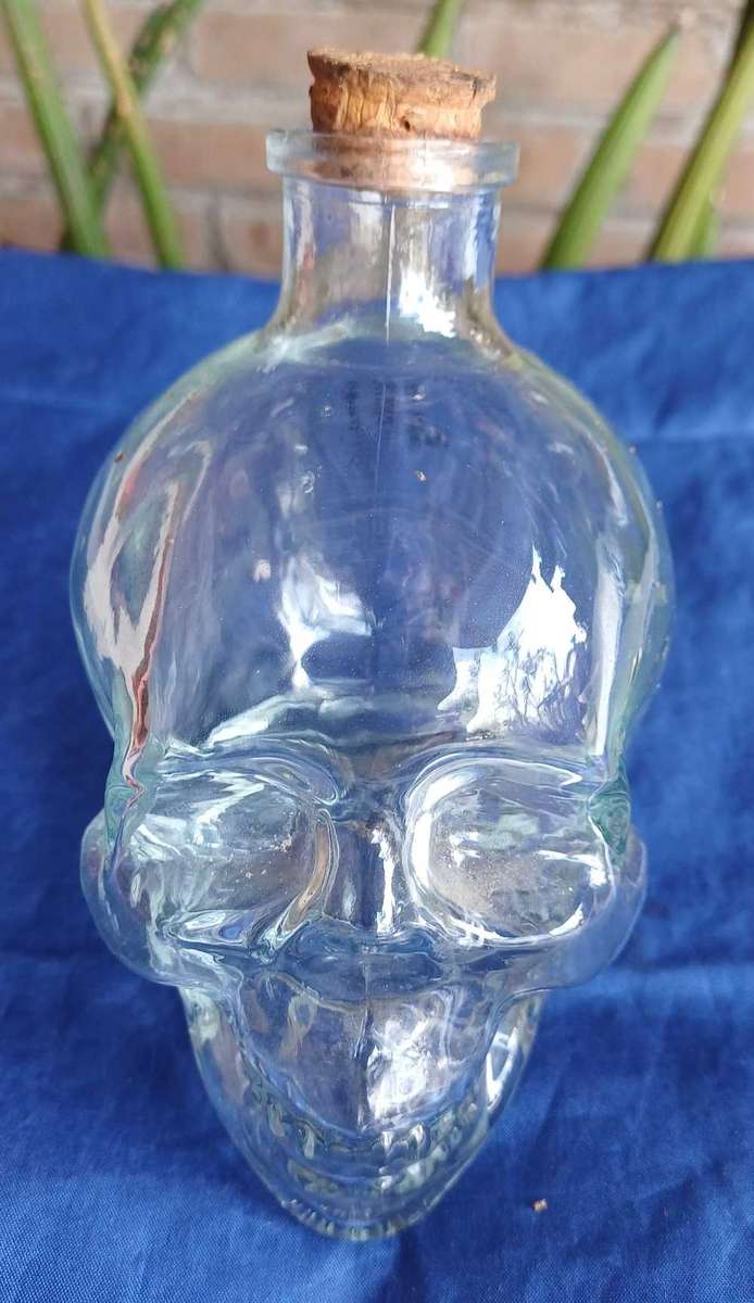 Skull glass bottle