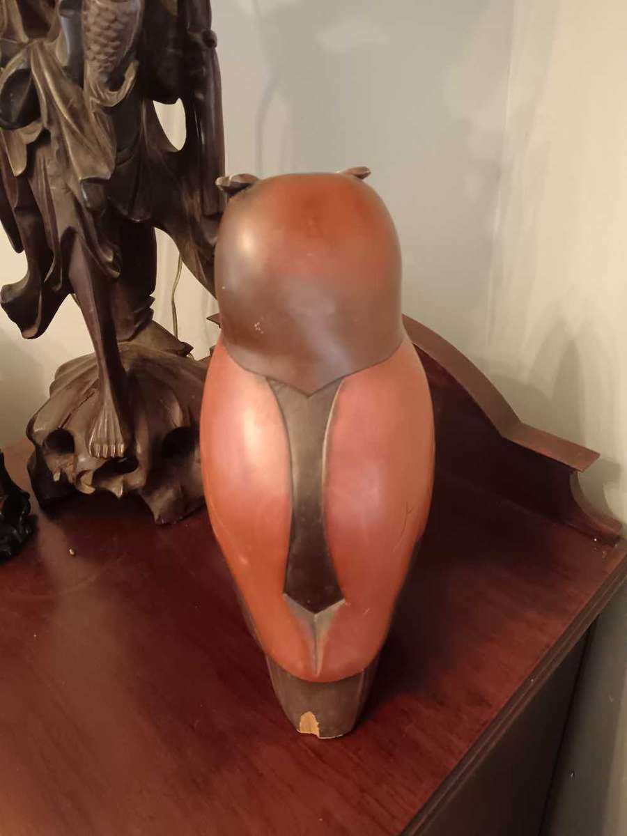 Feathers of Knysna Owl