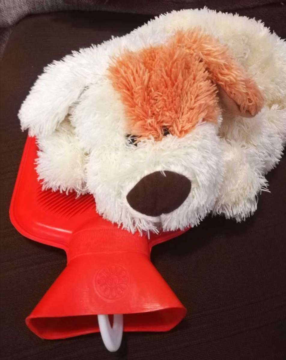 Snuggles the Puppy. A warm water bottle plush toy. 38cm.