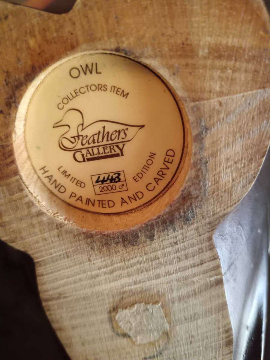 Feathers of Knysna Owl