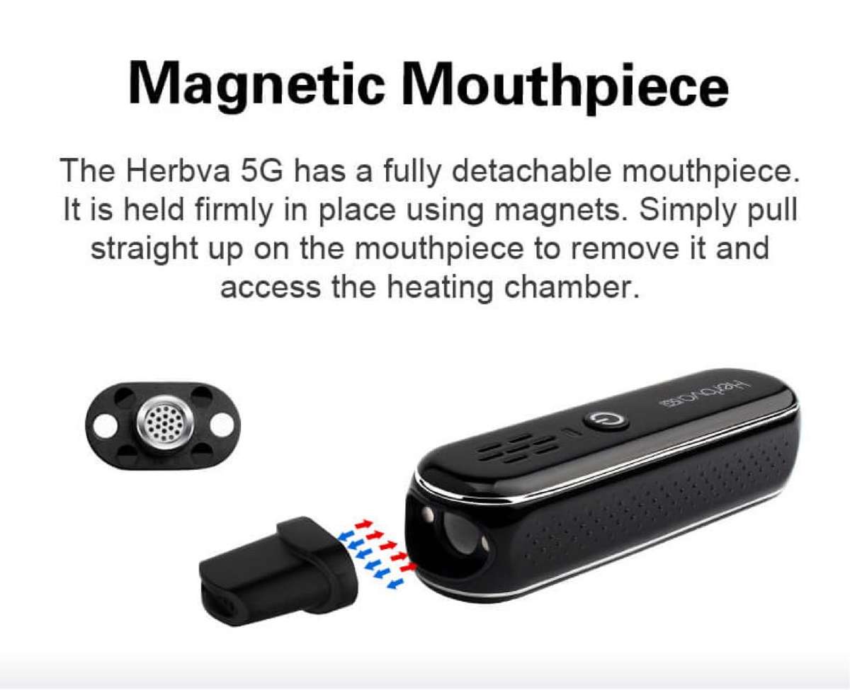 Herbva 5g dry vape