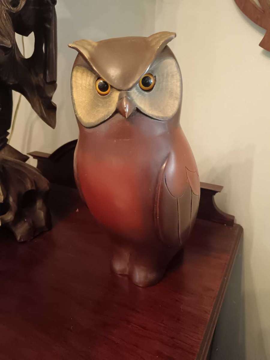 Feathers of Knysna Owl