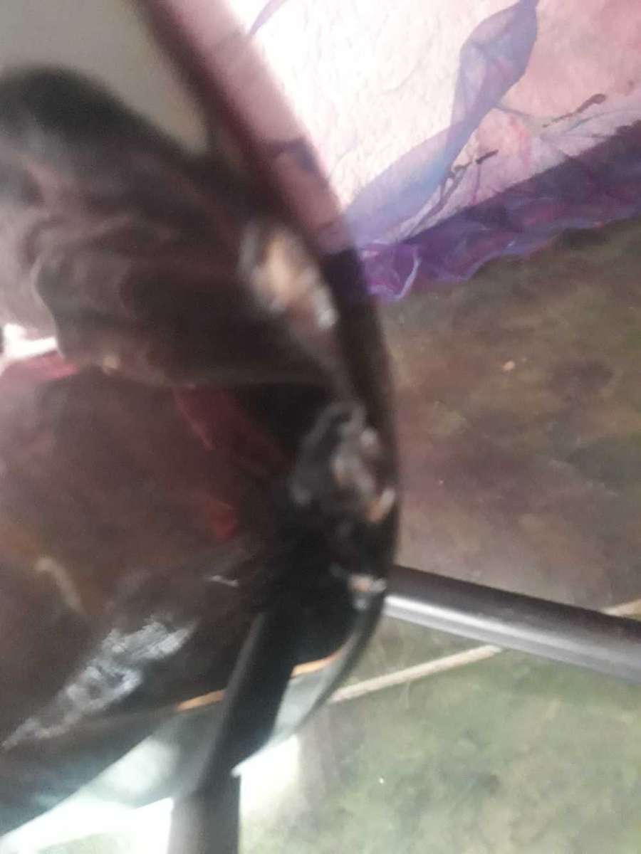 PALMER YB20100198 100% WORKING ELECTRIC GUITAR WITH BAG - STAND NOT INCLUDED!