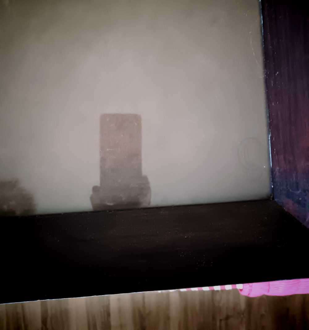 Framed Napolean Lithograph C 1900