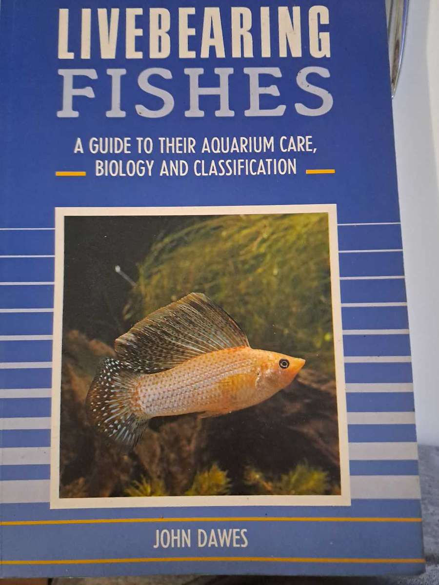 LIVEBEARING FISHS By John Dawes