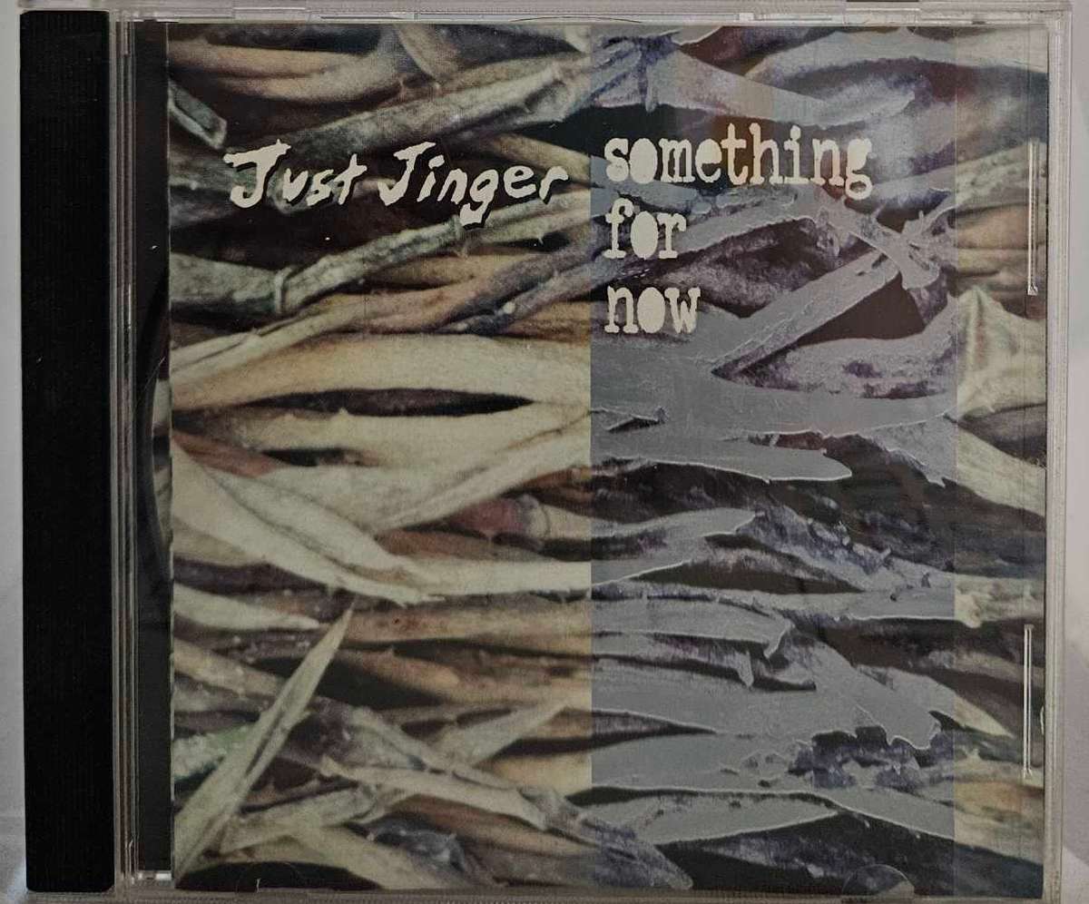 Just Jinger Something for Now    (1393)