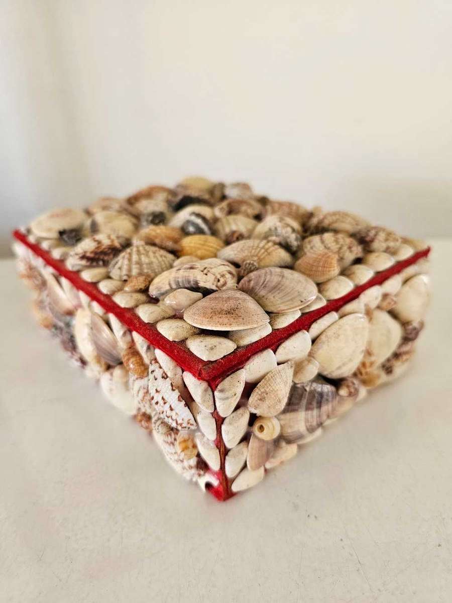 Sea Shell Multi Purpose Jewellery trinket or anything you choose box