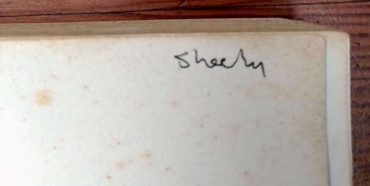 Omens of Millenium by Harold Bloom