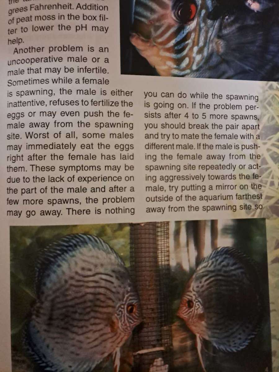 BACK TO NATURE GUIDE TO DISCUS