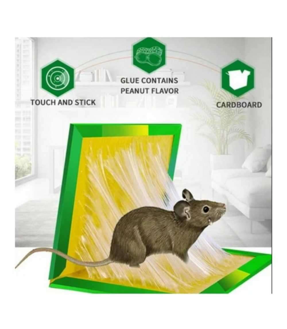 Mouse and rat glue traps 5 pack