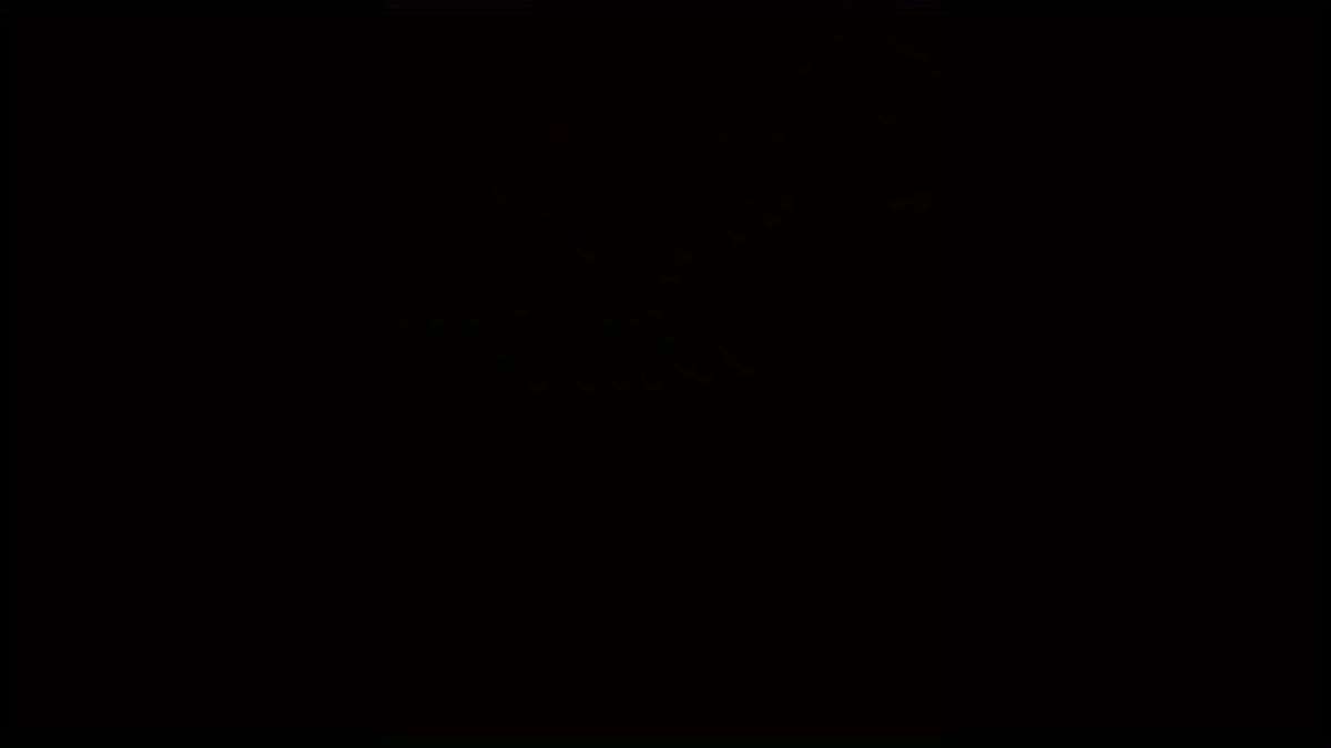 Screwdriver Bit Tool Set Quantity Three