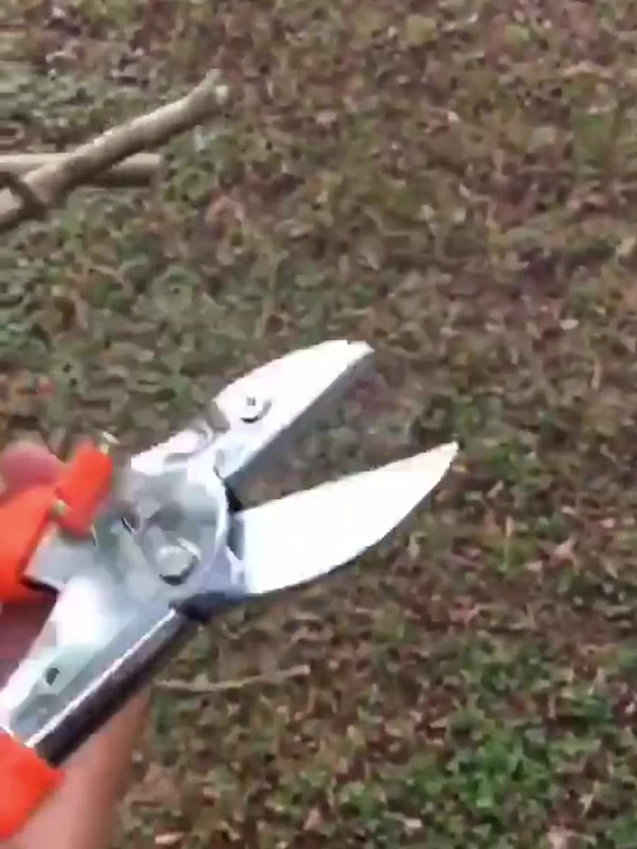 Garden Supplies Model Sk5 Pruning Shears