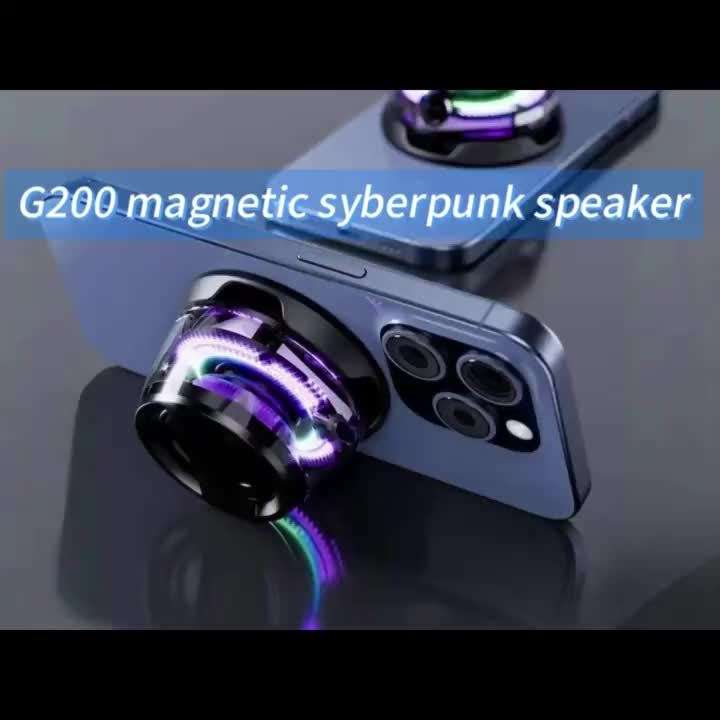 Speaker Color 2Pc Black