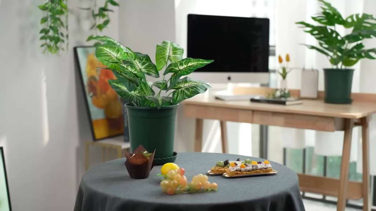 Flowerpot Color Green Quantity7Pcs Pots7Pcs Saucers