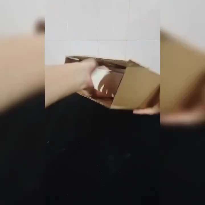 Pet supplies color Grey