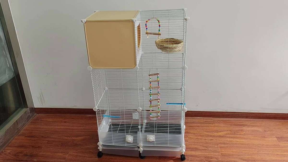Birdcage Model 2 Rows With 3 Layers Without Diaphragm