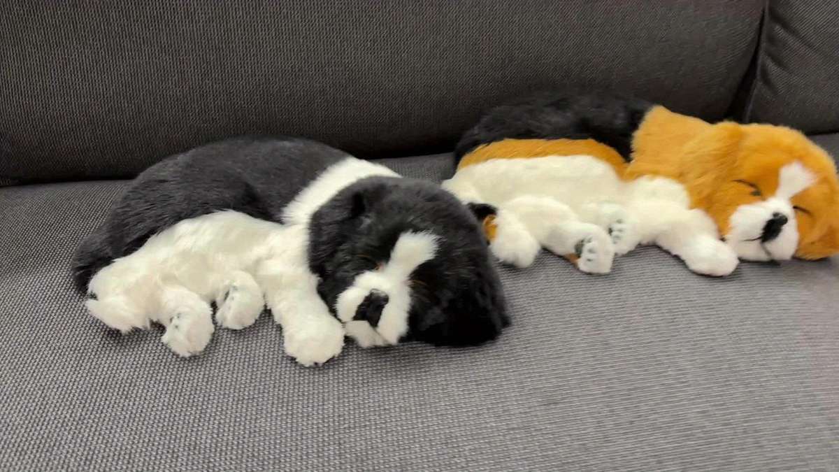 Plush Toys Color Black