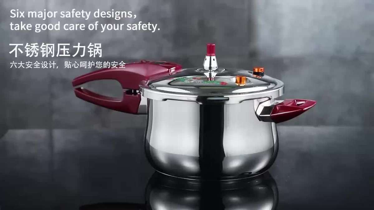 Heavy Duty Large Capacity Stainless Steel Pressure Cooker Party 22Cm