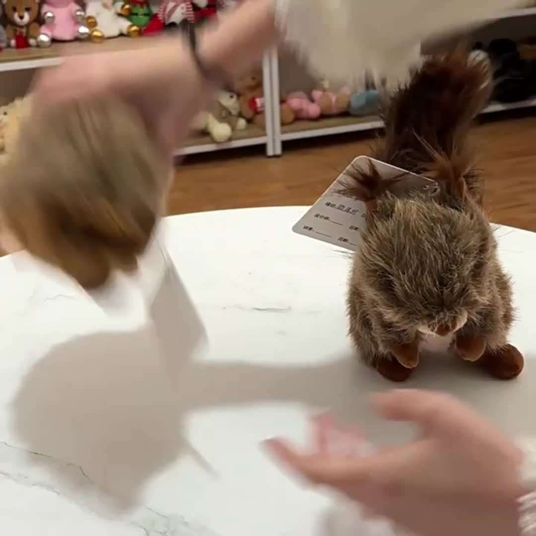 Plush Toyss Style Hedgehog