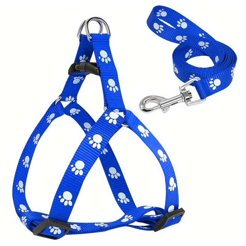 Dog Leash Color Blue Size M