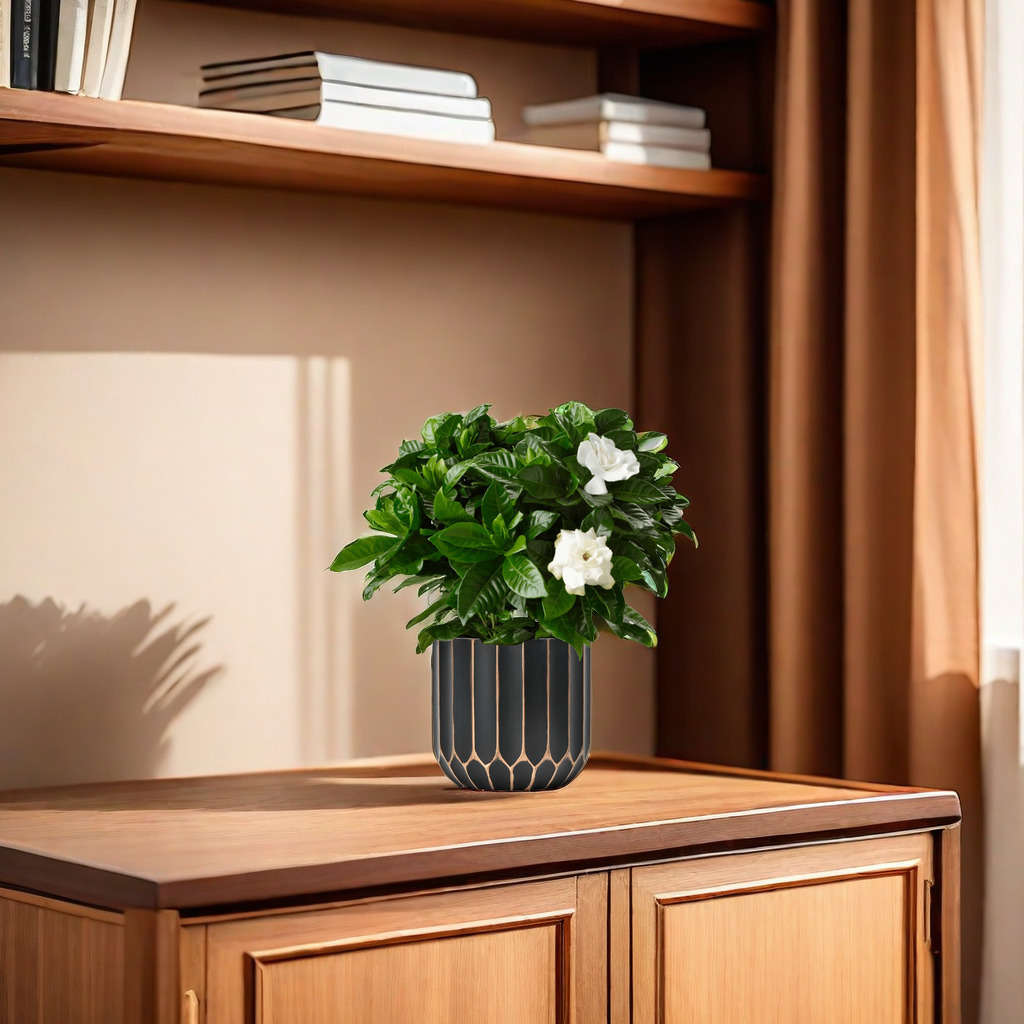 Flowerpot Color Black Brushed Golden Sizecaliber 10.5*Height 9.5Cm