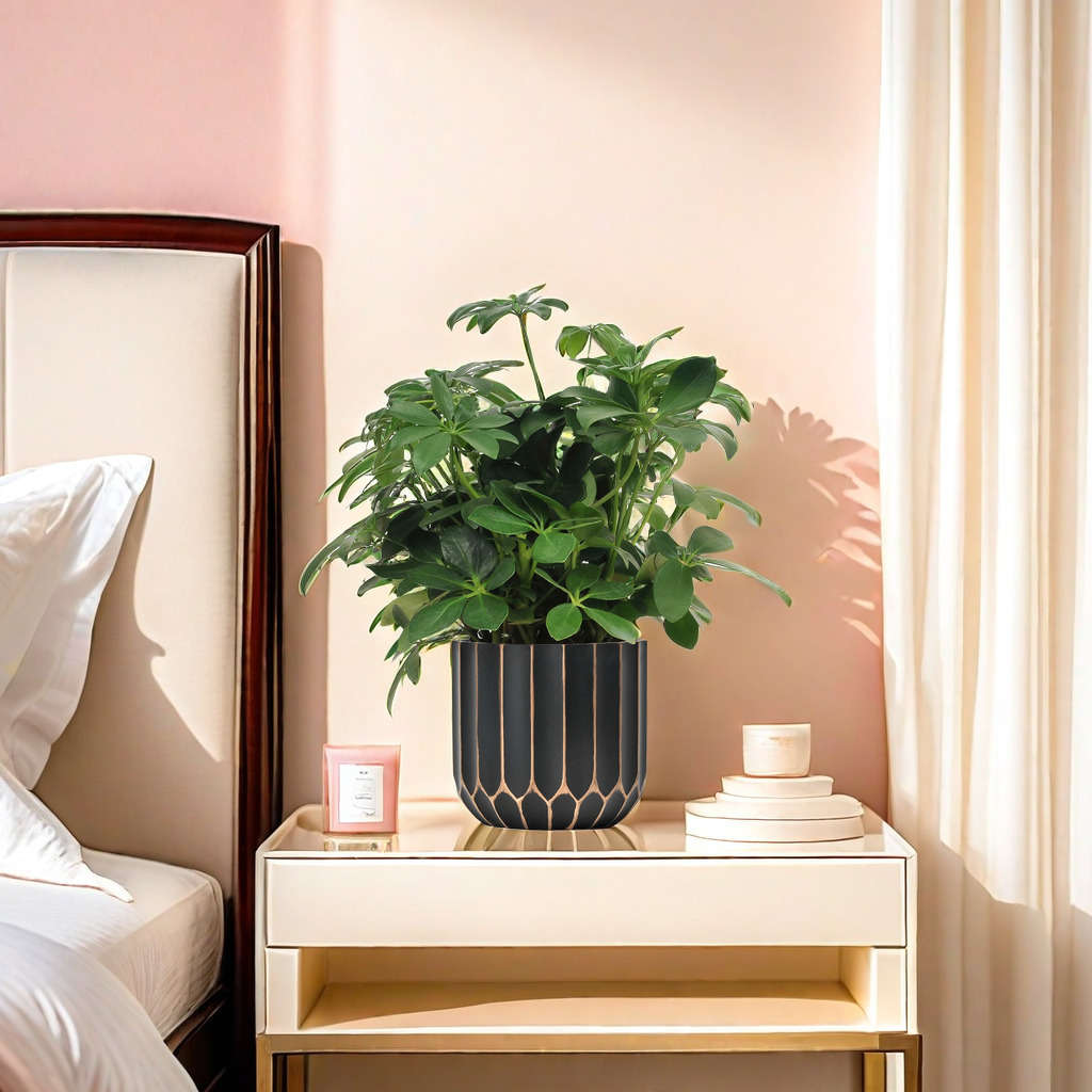 Flowerpot Color Black Brushed Golden Sizecaliber 10.5*Height 9.5Cm