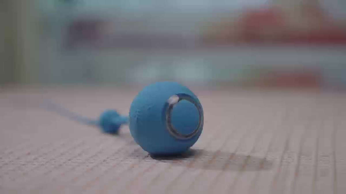 Pet Supplies Color Red