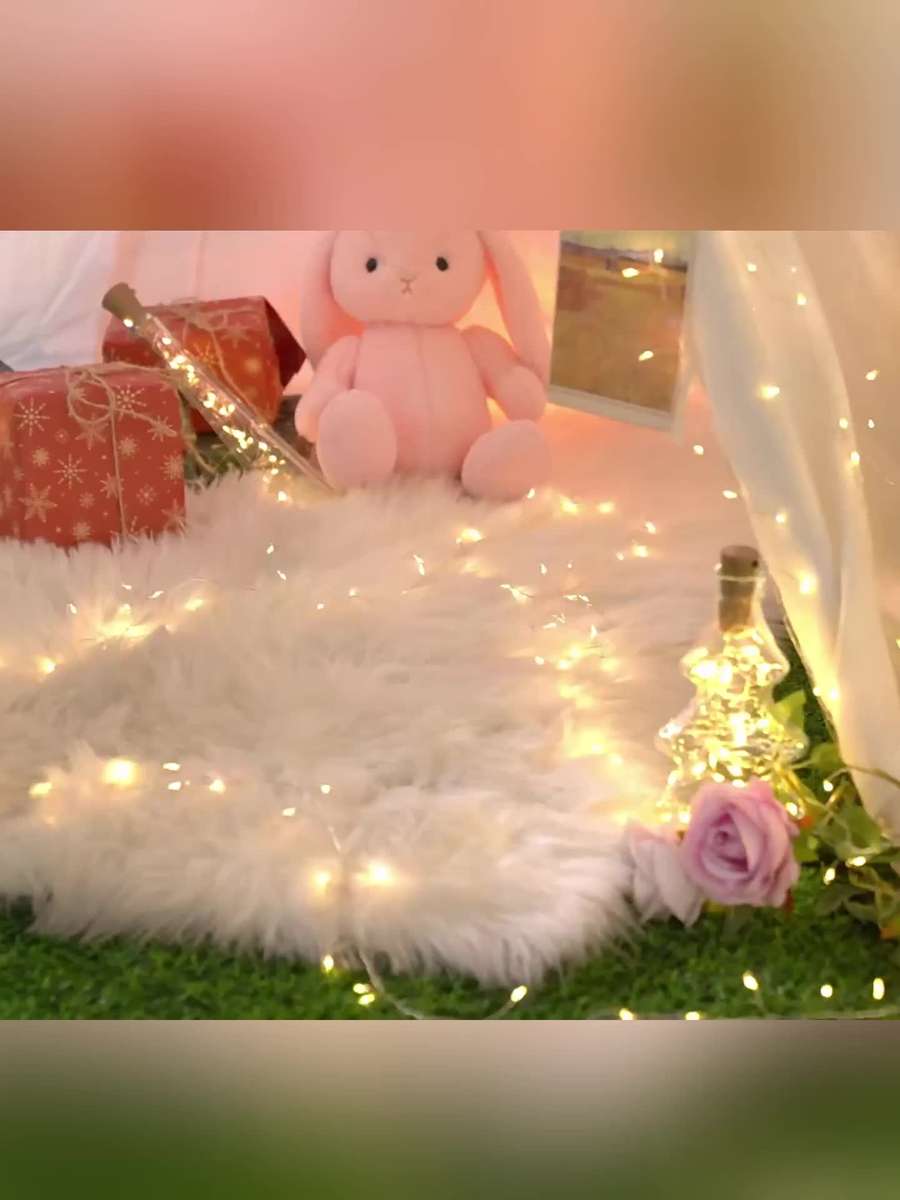 Christmas Lights 3.0Meter 100 Lamp Quantity 1