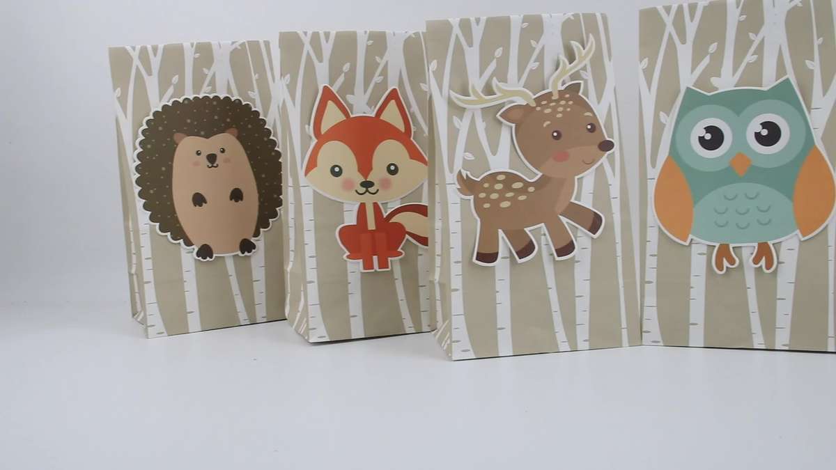 Gift Bags Color Polychrome
