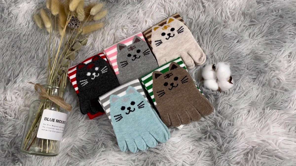 Women S Socks Color Striped Cat Size 49