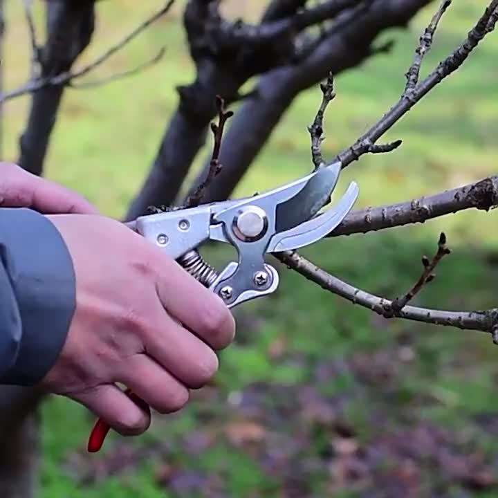 Garden Shears Material High Carbon Steel