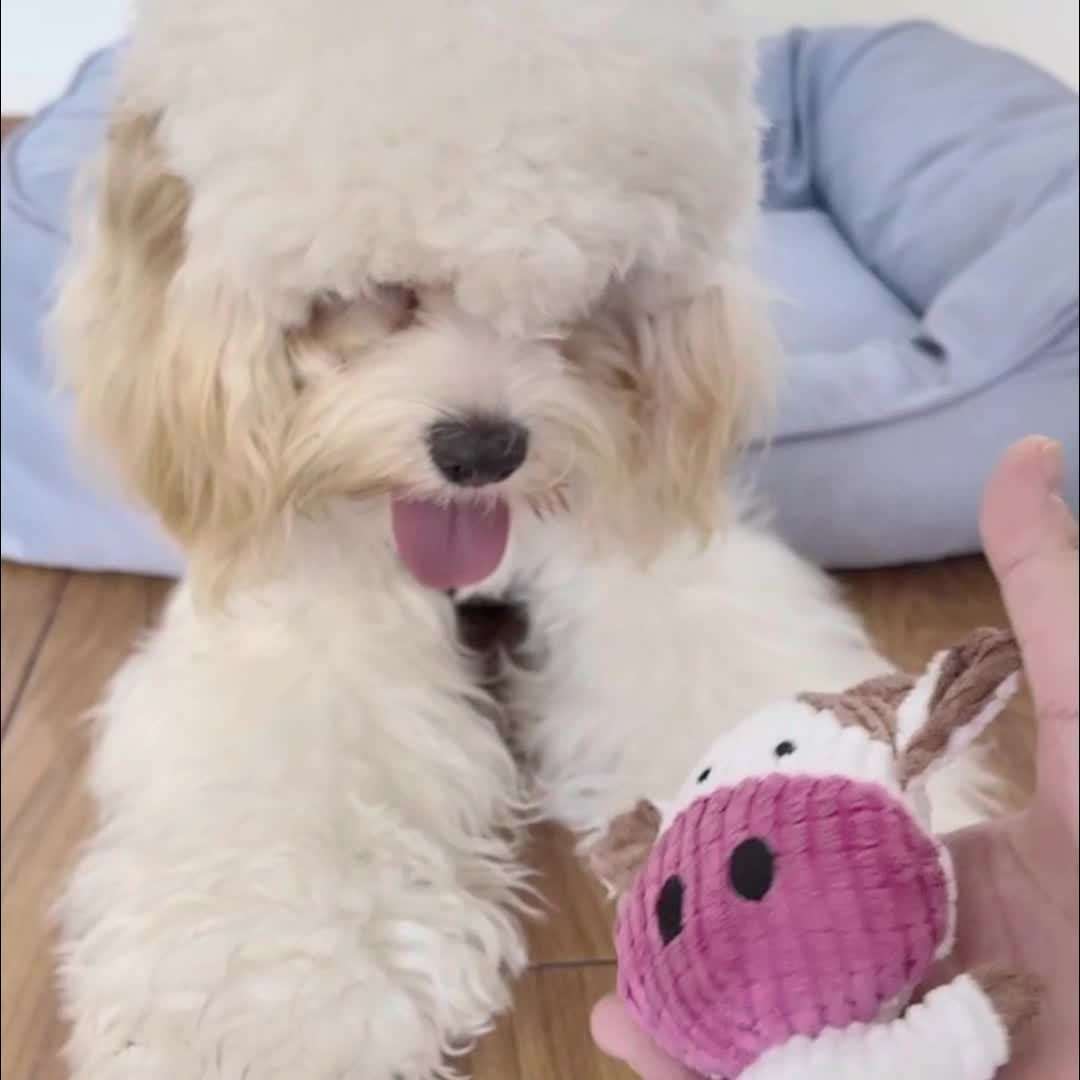 Plush Toyss Style Calf shape Quantity