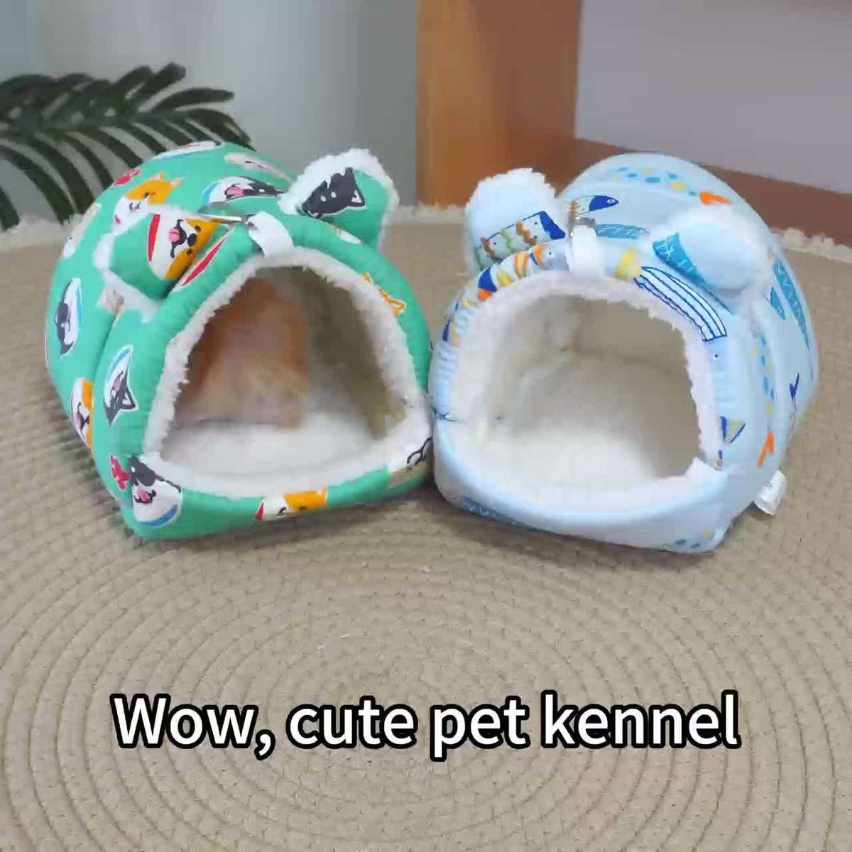 Pet supplies color Cyan size M