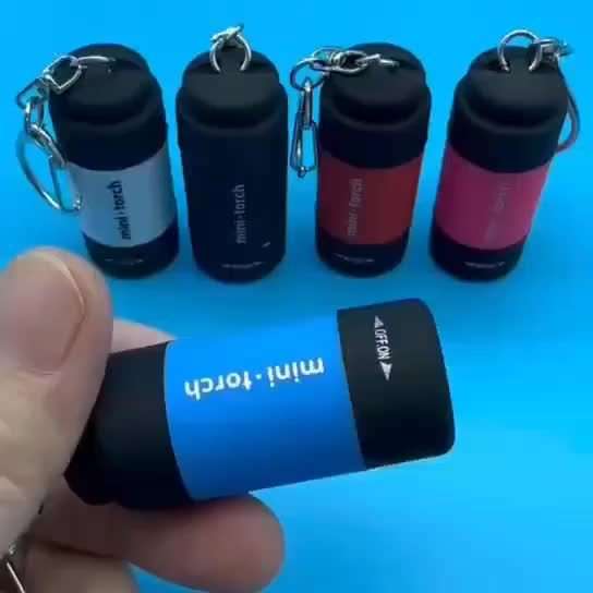 Mini Keychain