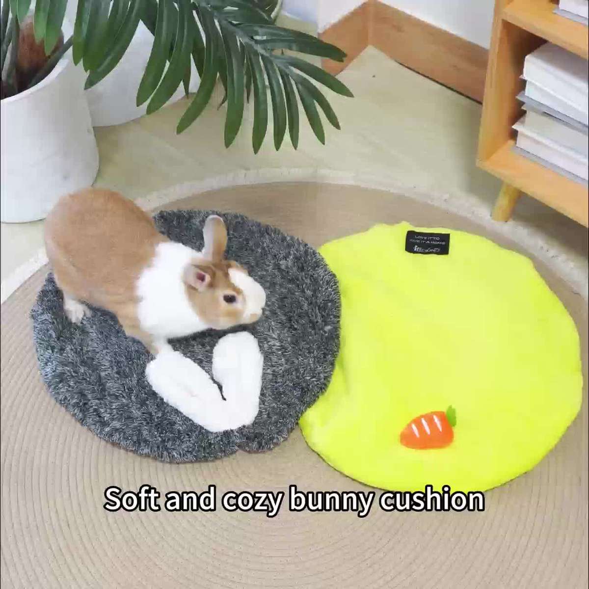 Pet supplies color Gray Rabbit