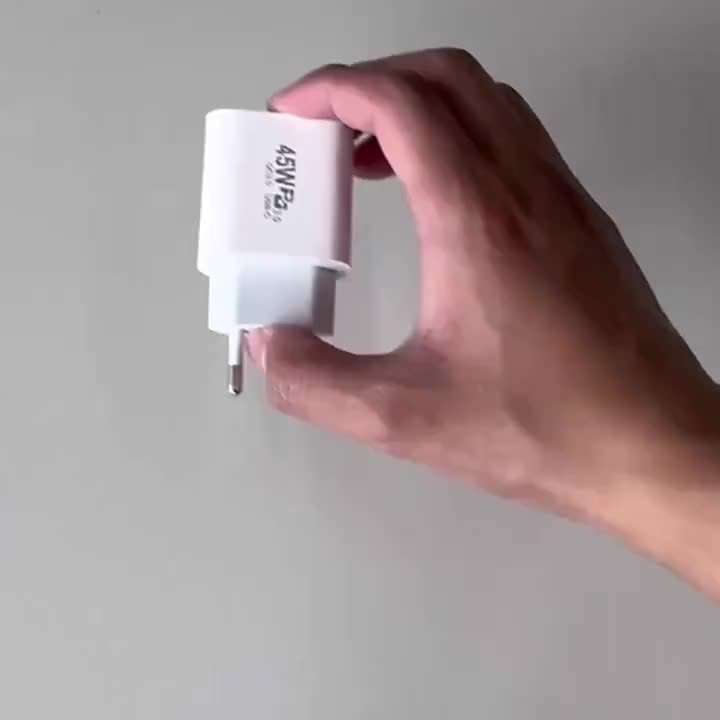 Charger Color Gray  100W Cable