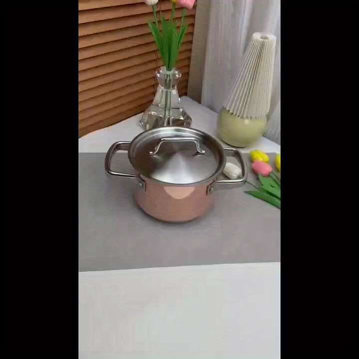 Premium Stainless Steel Copper Clad Pot With